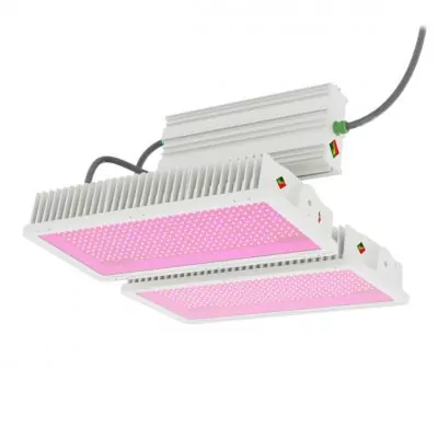 Hortiled Top Intense LED