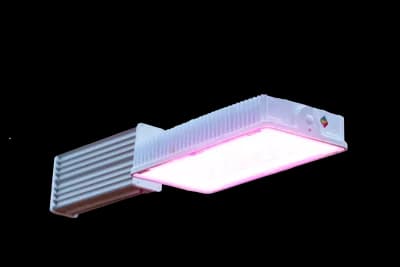 Hortilux Intense LED