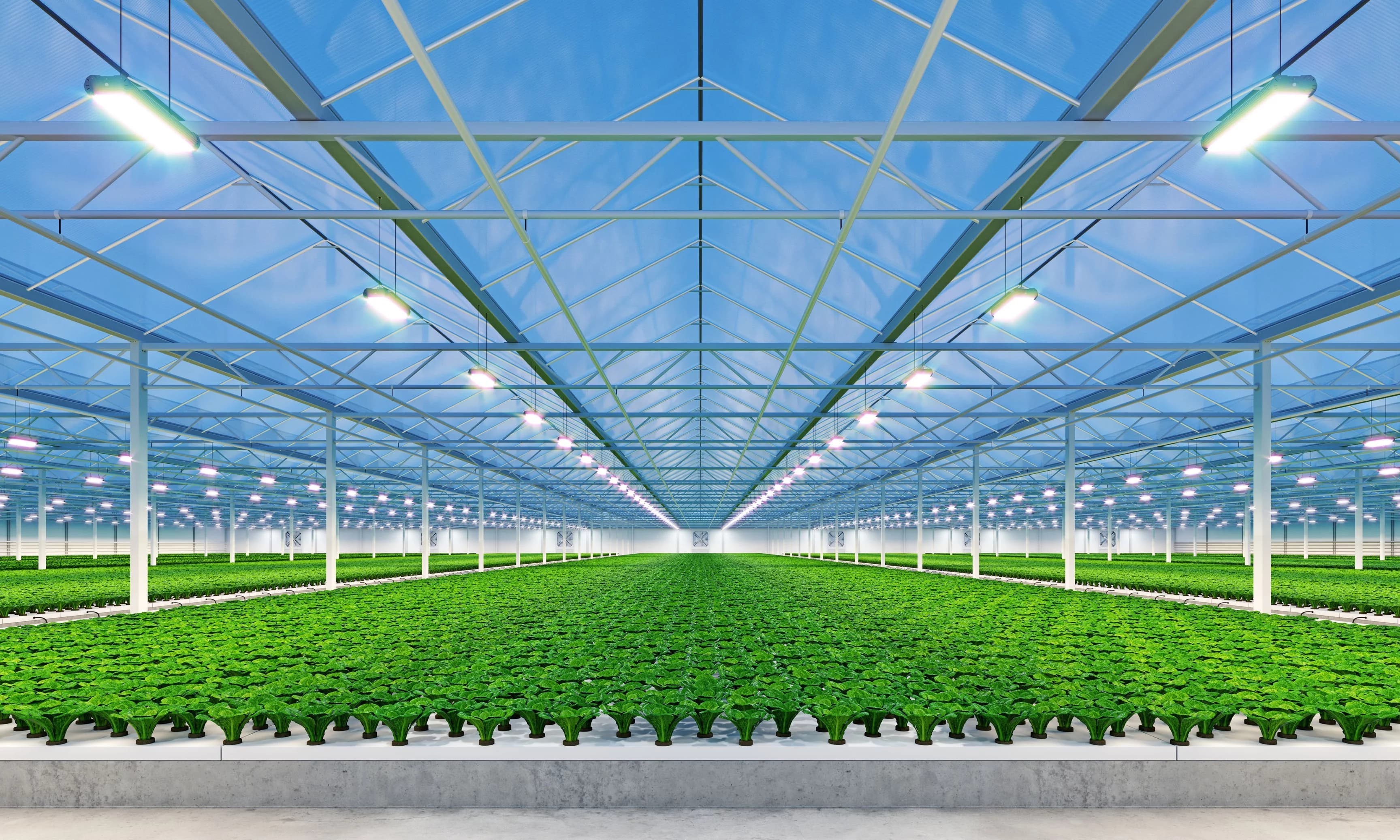 Professional Horticultural Lighting