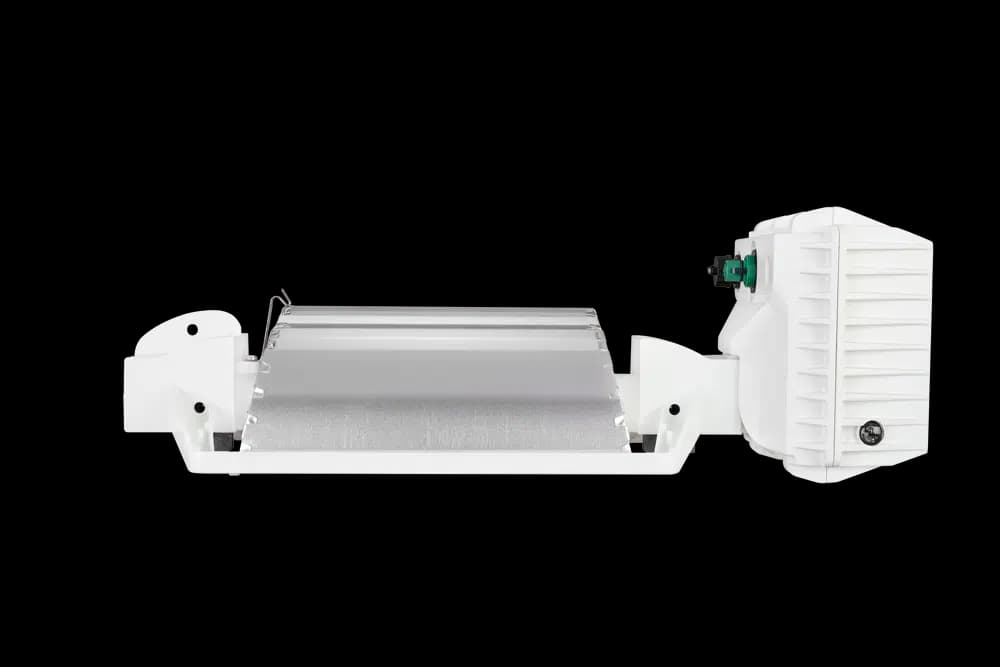 DLI Horti Series - Bild 3