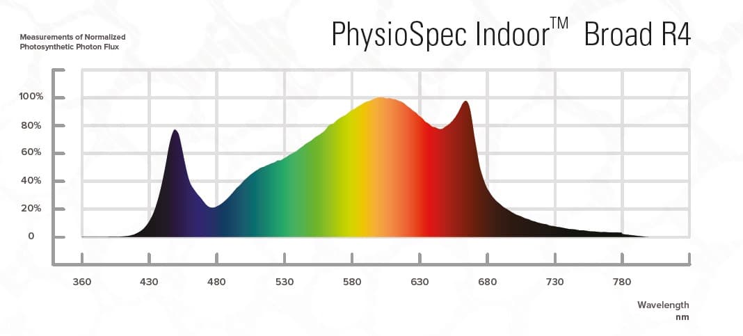 Fluence SPYDR FANG - Bild 3
