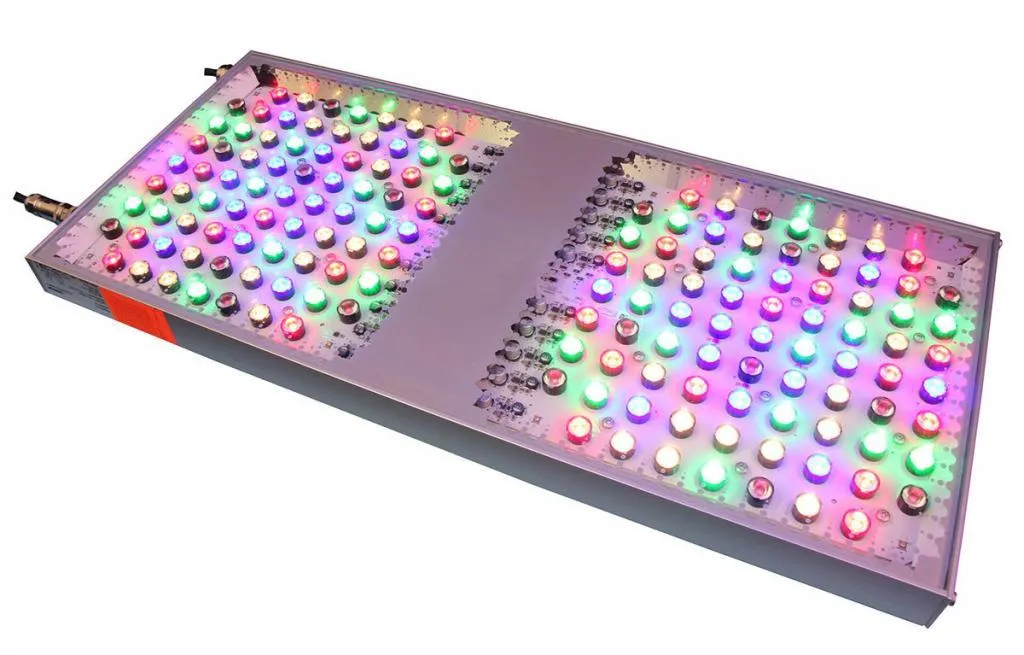 OSRAM Phytofy RL LED